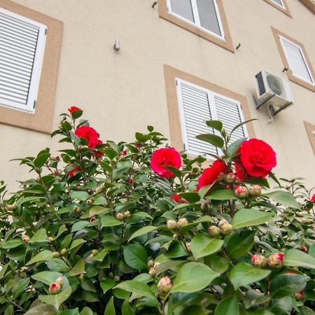 Apartments Savic Herceg Novi Exterior foto