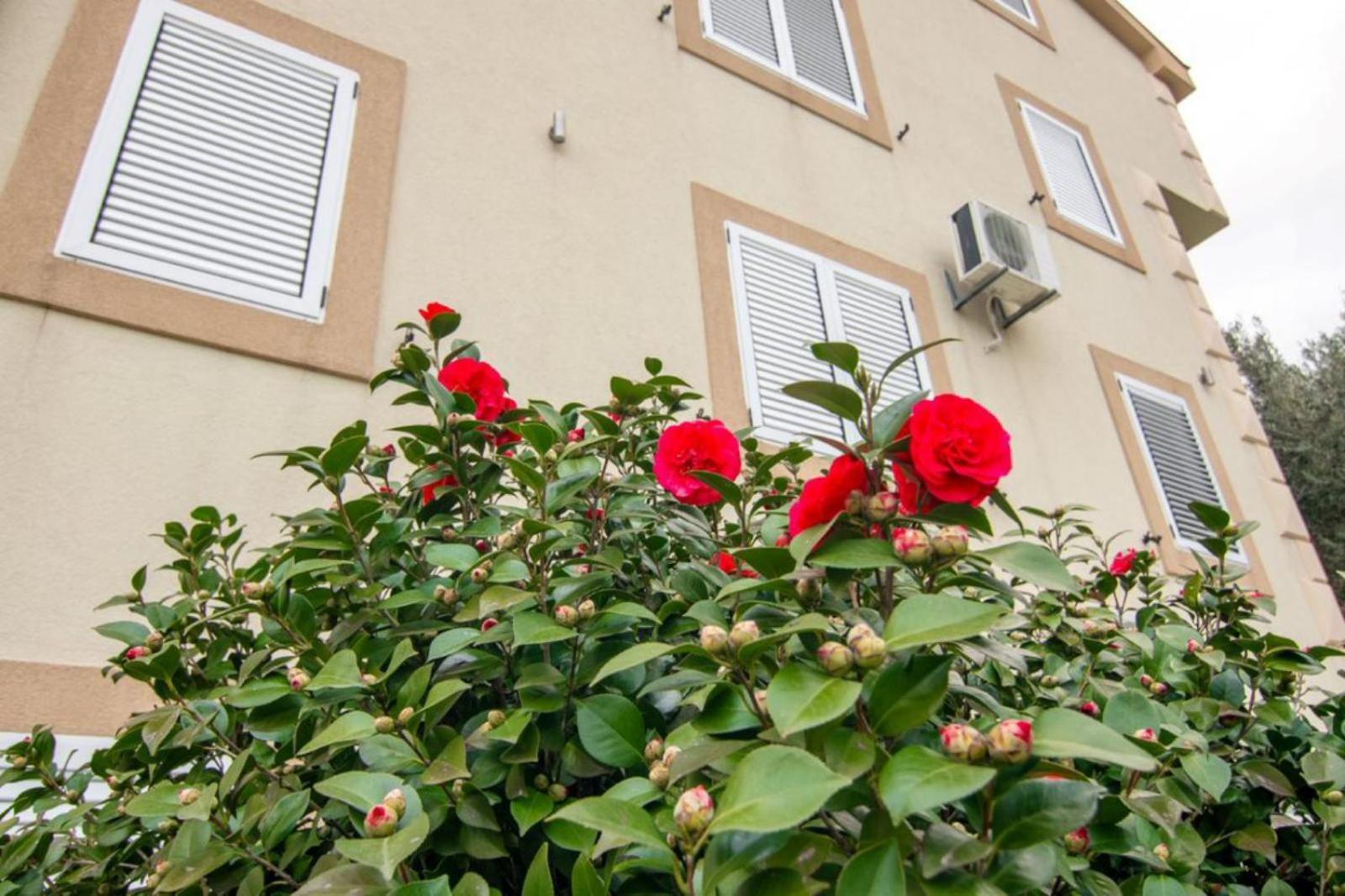 Apartments Savic Herceg Novi Exterior foto