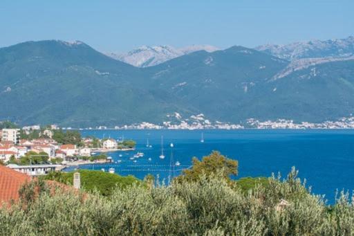Apartments Savic Herceg Novi Exterior foto